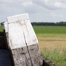 From the Sea - Brass Band