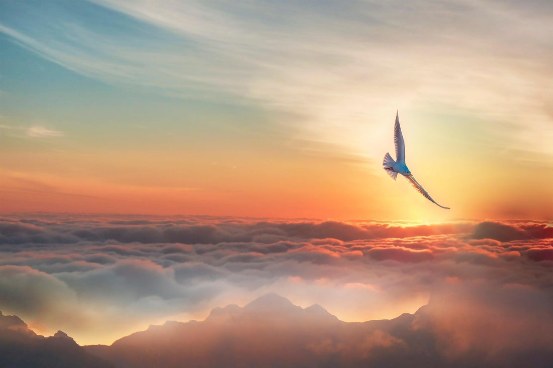 Soaring the Sky: Zweven op de klanken van koper en ritme