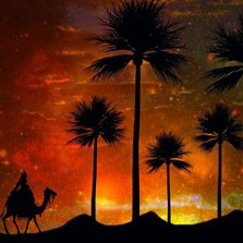 One Night, One Tale - Fanfare & Horn
